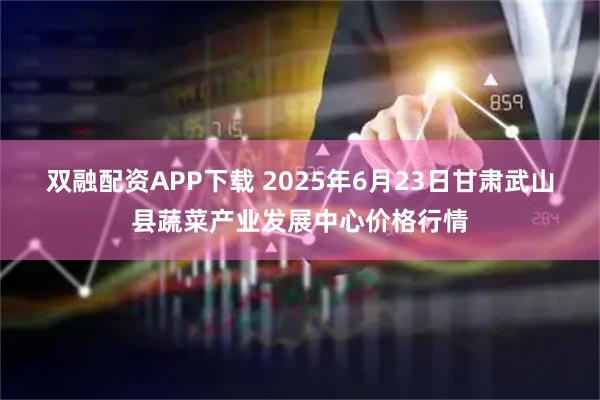 双融配资APP下载 2025年6月23日甘肃武山县蔬菜产业发展中心价格行情