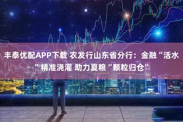 丰泰优配APP下载 农发行山东省分行：金融“活水”精准浇灌 助力夏粮“颗粒归仓”