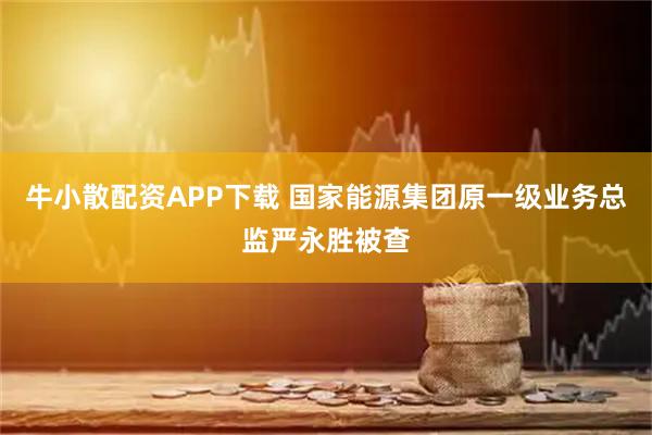 牛小散配资APP下载 国家能源集团原一级业务总监严永胜被查