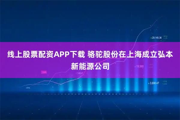 线上股票配资APP下载 骆驼股份在上海成立弘本新能源公司