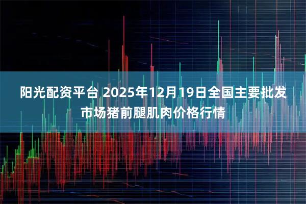阳光配资平台 2025年12月19日全国主要批发市场猪前腿肌肉价格行情
